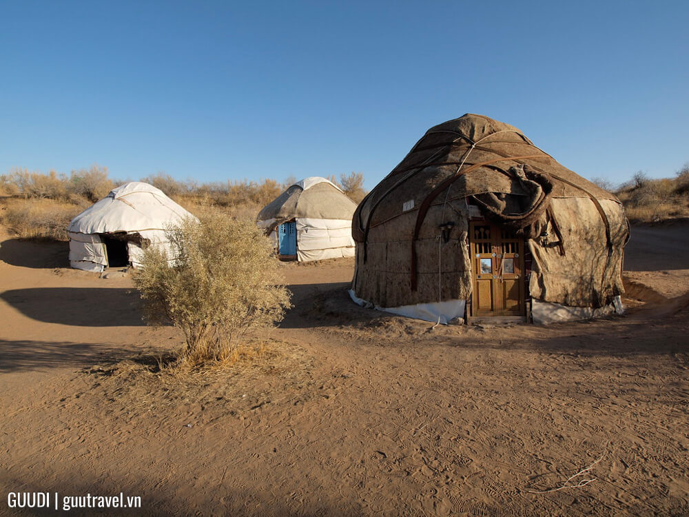 Yurt Camp Yangigazgan