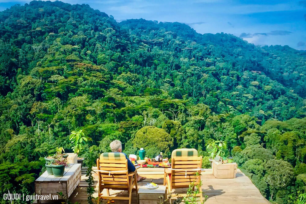 Vườn quốc gia châu Phi Bwindi Impenetrable (Uganda)