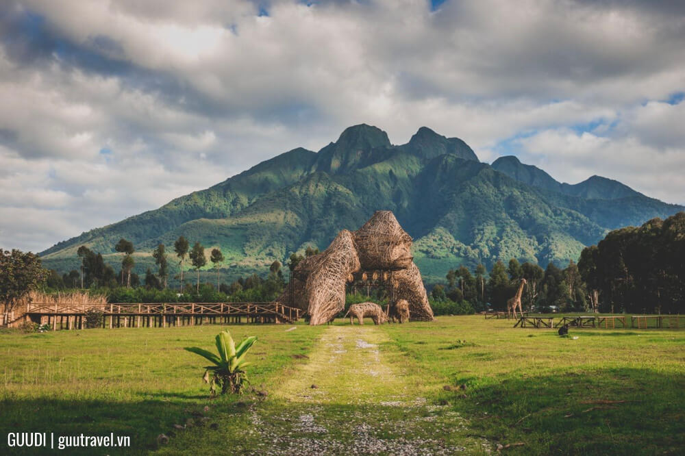 Vườn quốc gia châu Phi Volcanoes (Rwanda)