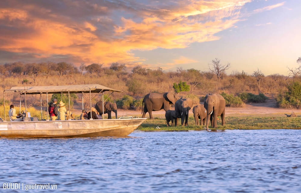 Vườn quốc gia Chobe và du thuyền sông Chobe