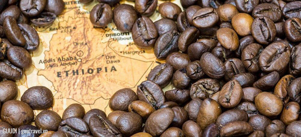 Quê hương của cà phê Arabica là ethiopia