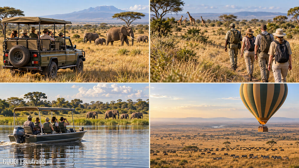 Các hình thức safari phổ biến