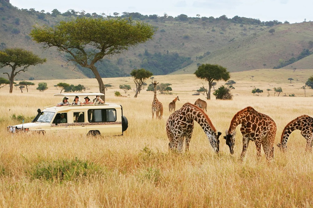Chi phí du lịch Kenya